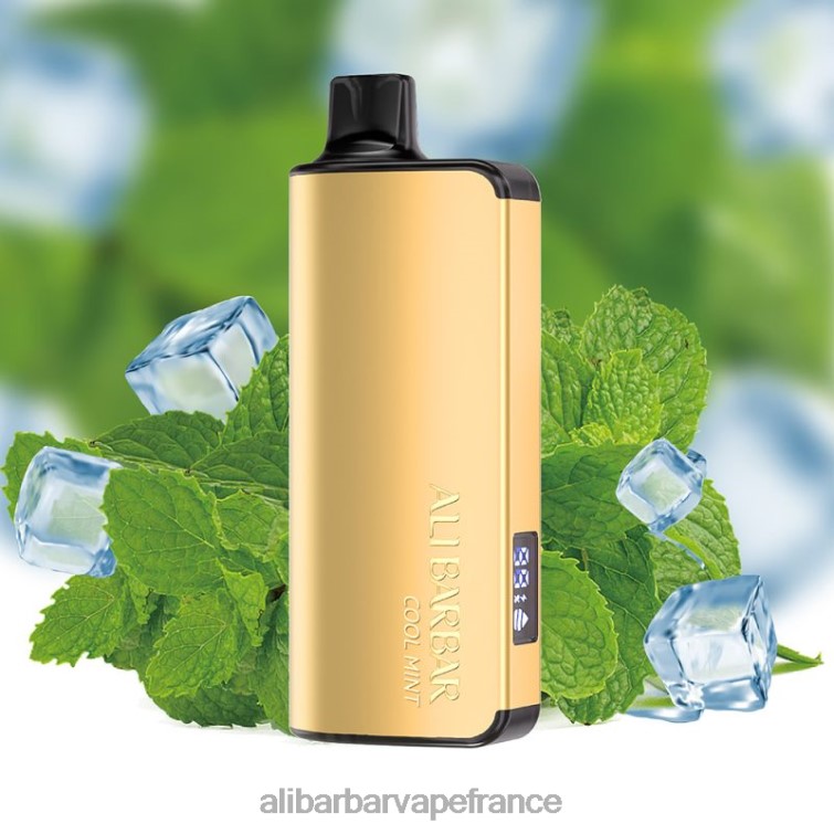Alibarbar Price - Alibarbar Ingot 20000 vapes jetables X848835 menthe fraîche