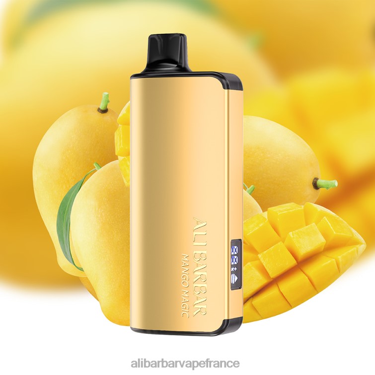 Alibarbar Vape Flavours - Alibarbar Ingot 9000 vapes jetables X848829 magie de la mangue
