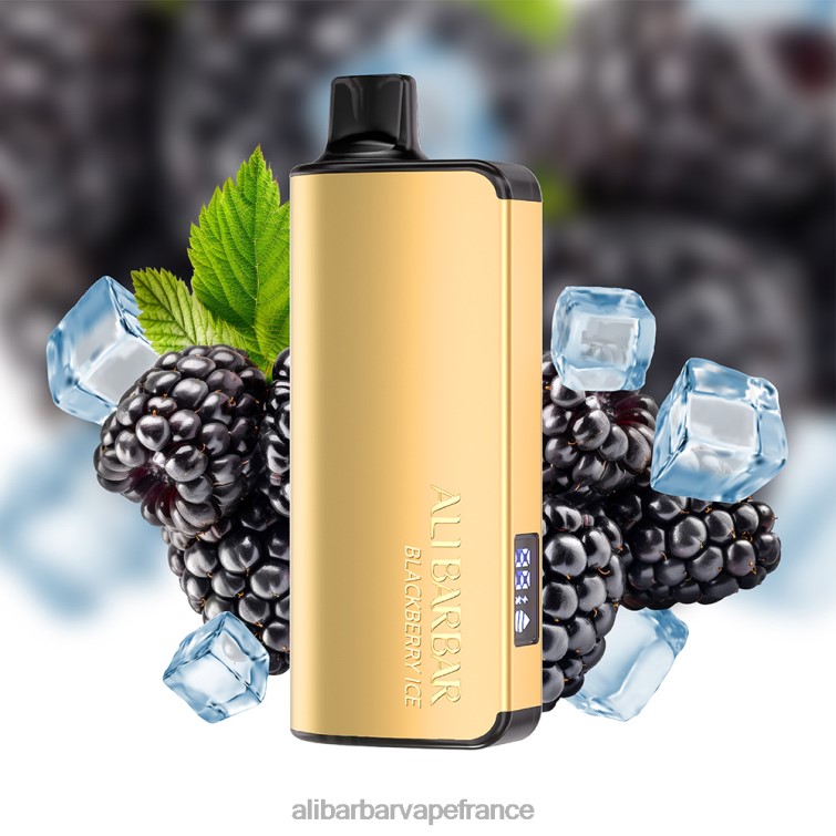 Alibarbar Vape Nicotine - Alibarbar Ingot 9000 vapes jetables X848830 glace aux mûres