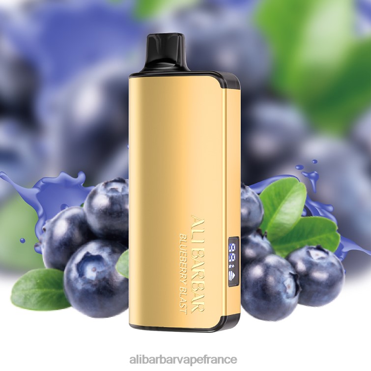 Alibarbar Vape Nicotine Content - Alibarbar Ingot 9000 vapes jetables X848815 explosion de myrtilles