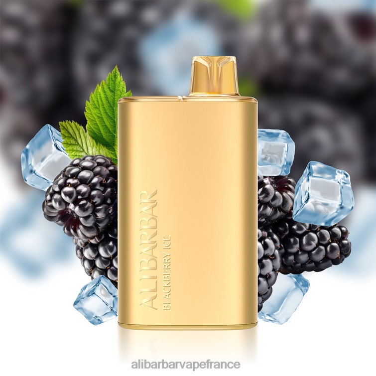 Alibarbar Vape Flavours - Alibarbar Rich 8000 vapes jetables X84885 double pomme