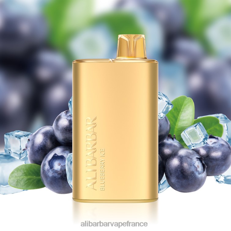 Alibarbar Vape France - Alibarbar Rich 8000 vapes jetables X848810 glace aux mûres